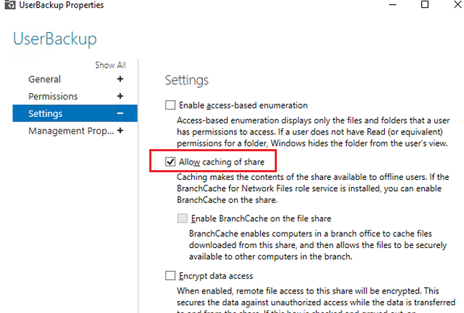 Windows Server - share properties - allow caching of share